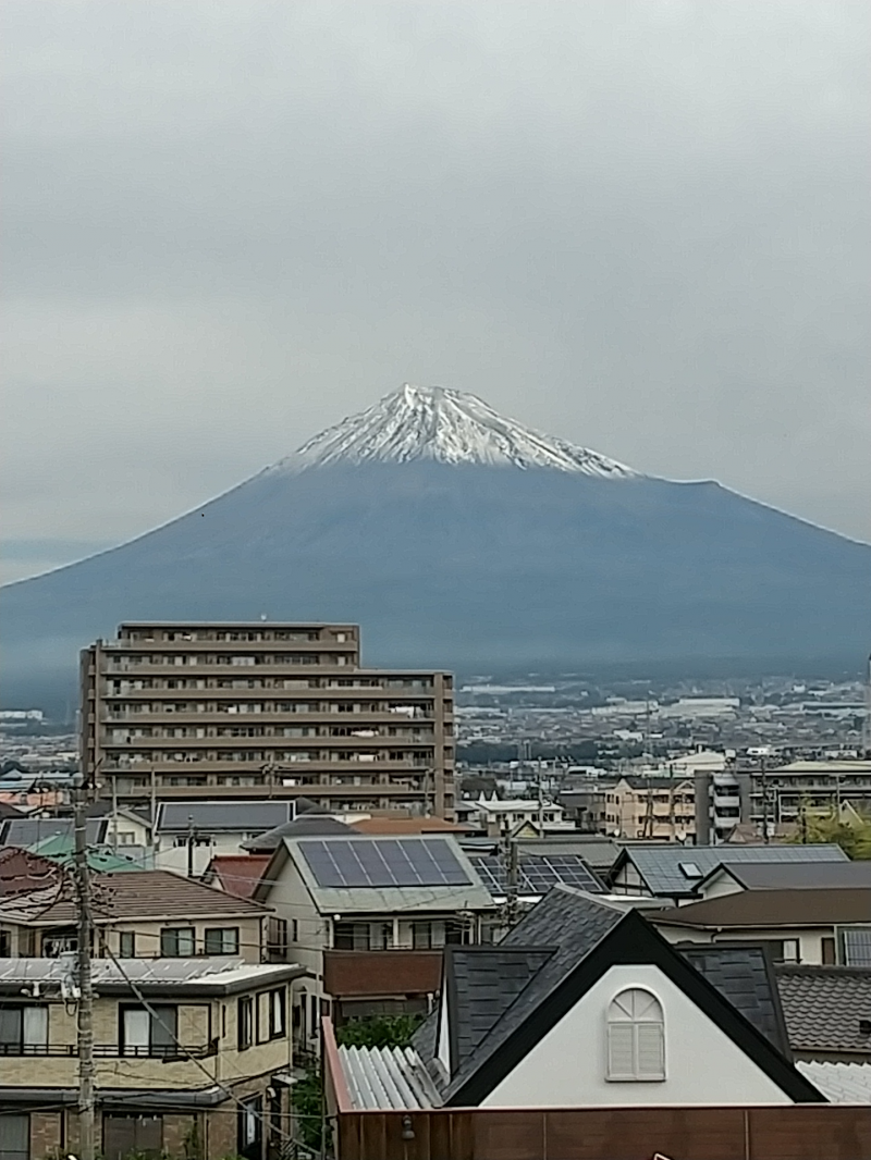 A[etBVt[gāAǖʂ낤