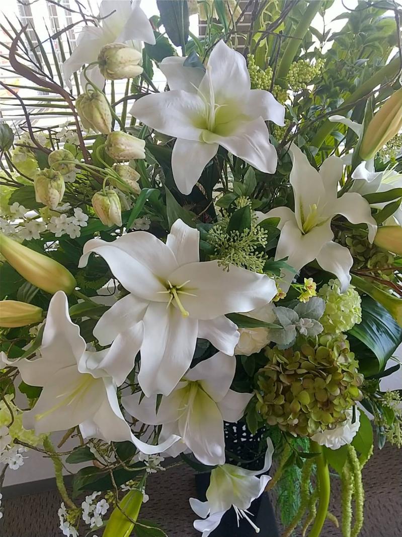 �s���`�O�ȃN���j�b�N�l�@�H�A�����W�t�����[